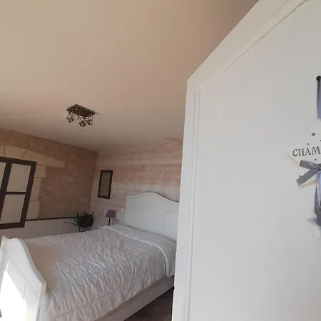 Au Calme Avec Jardin Et Wifi A - Fr-1-541-52 La Roche-Posay